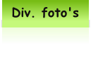 Div. foto's